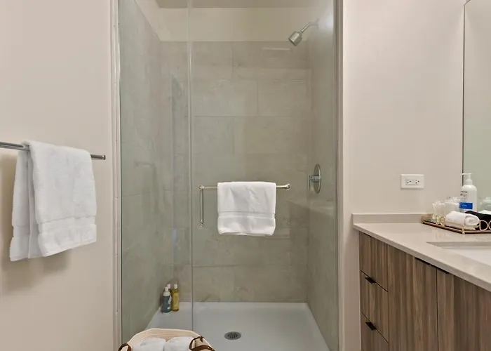 Sage Modern Near Union Park In West Loop Apartment